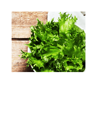 건강 메뉴 : 영양과 균형이 이루어진 메뉴